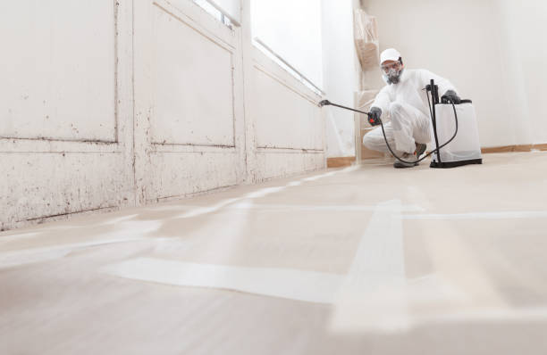 24/7 Emergency Attic Mold Removal experts in Dayton, MD